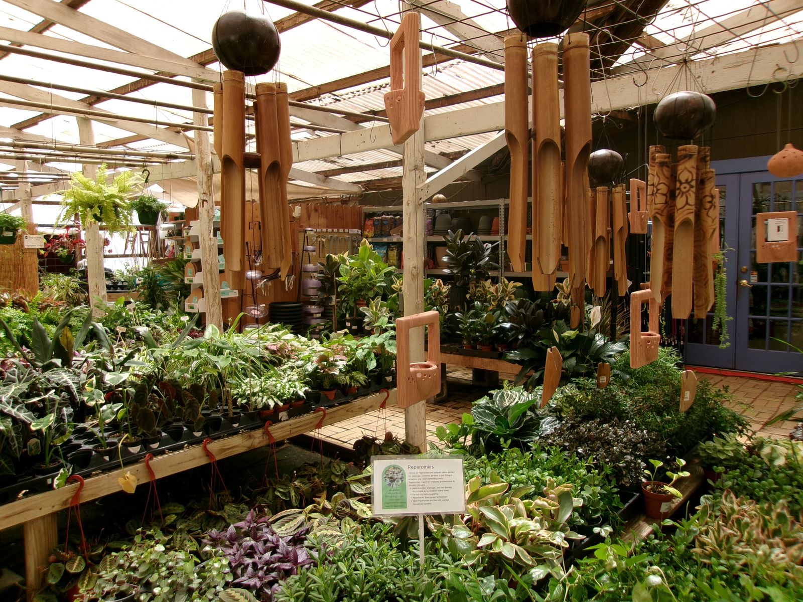 PLACEHOLDER: a stand-in photograph of a different garden centre — benches of potted foliage under a timber-framed roof, wind chimes hanging over the aisle.